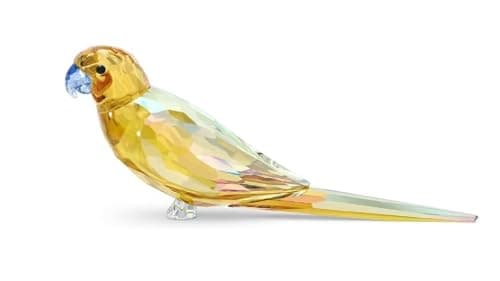Swarovski Jungle Beats Yellow Parakeet Necklace for Women on Beach Vacations
| Swarovski Jungle Beats Yellow Parakeet E