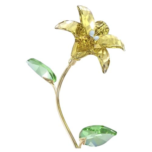 Swarovski Florere Lily Crystal Pendant Necklace for Women Everyday Wear
| Swarovski Florere Lily Elegant Jewelry for Br