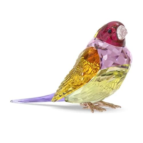 Swarovski Idyllia SCS Gouldian Finch Large Crystal Earrings for Women Festive Occasions Sparkling Jewelry