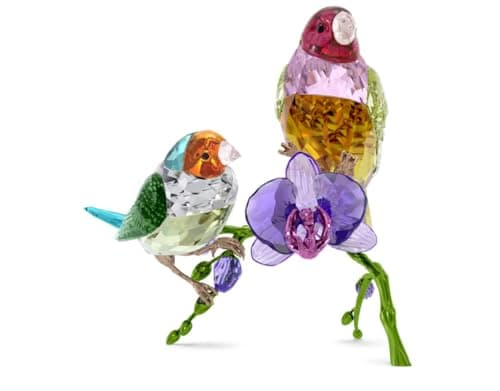 Swarovski Idyllia SCS Annual Edition 2024 Gouldian Finches Bird Ornament for Bird Lovers Home Decor