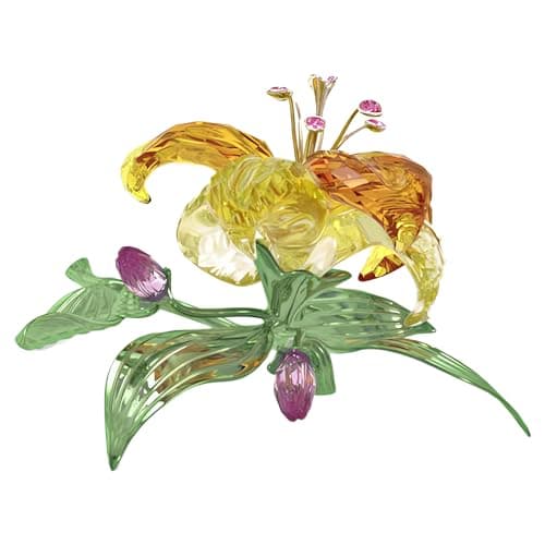 Florere Lily Large Beautiful Blossoms for Garden Lovers Outdoor Plantings Up to 3 Feet Tall