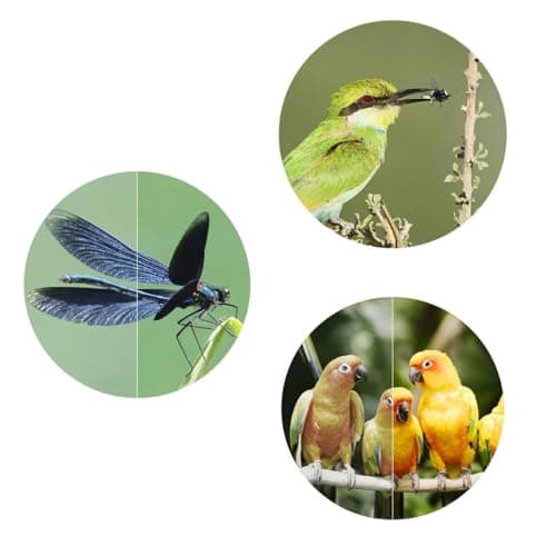 Swarovski EL 8.5x42 Binoculars for Bird Watching Lightweight Compact Binoculars High Definition Close-Focus Binoculars 3
