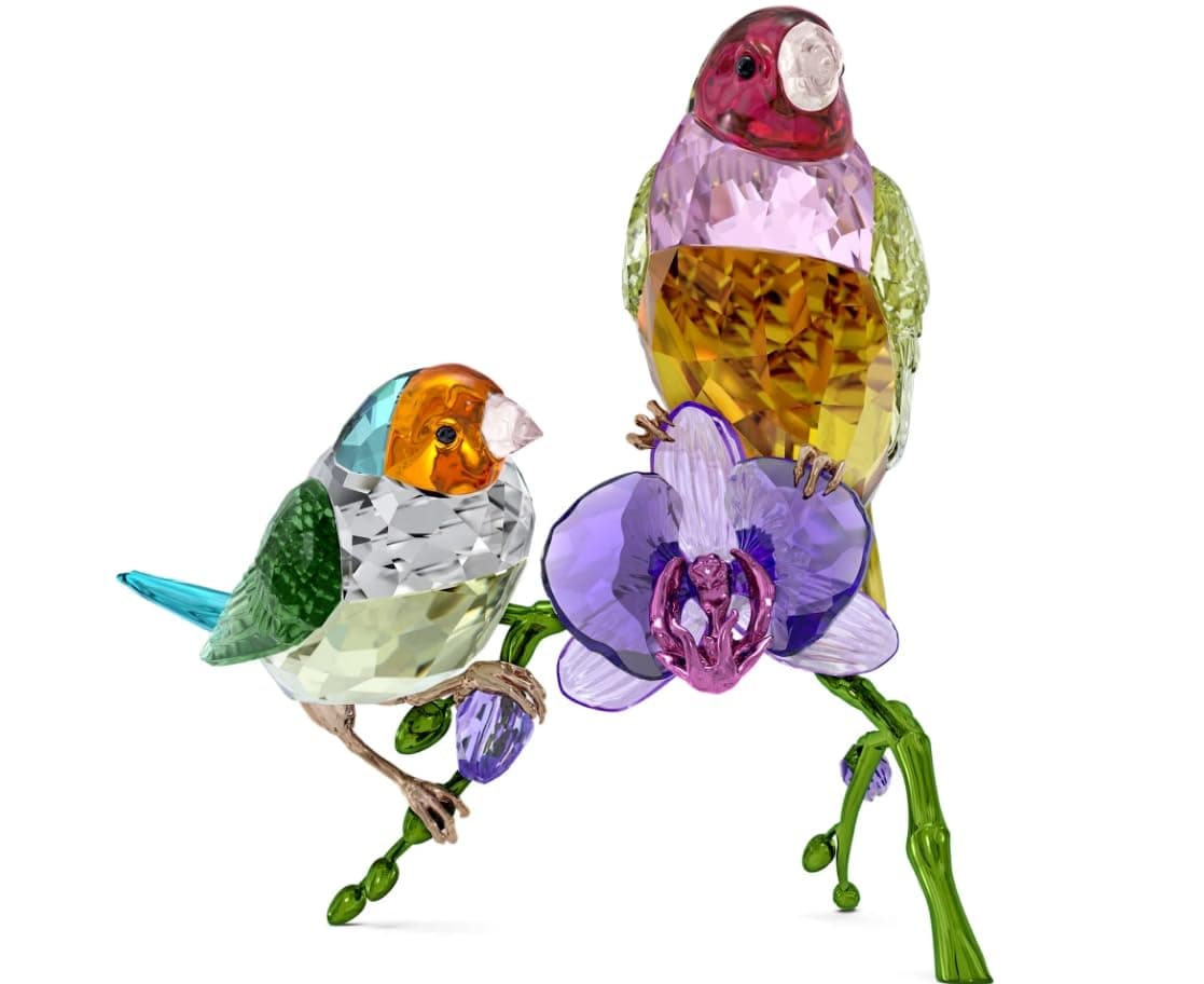 Swarovski Idyllia SCS Annual Edition 2024 Gouldian Finches Bird Ornament for Bird Lovers Home Decor