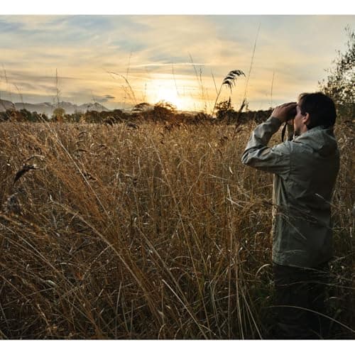 Swarovski SLC 10x56 Binocular for Hunting and Bird Watching with Advanced Optics and Ergonomic Design
| Swarovski SLC 1