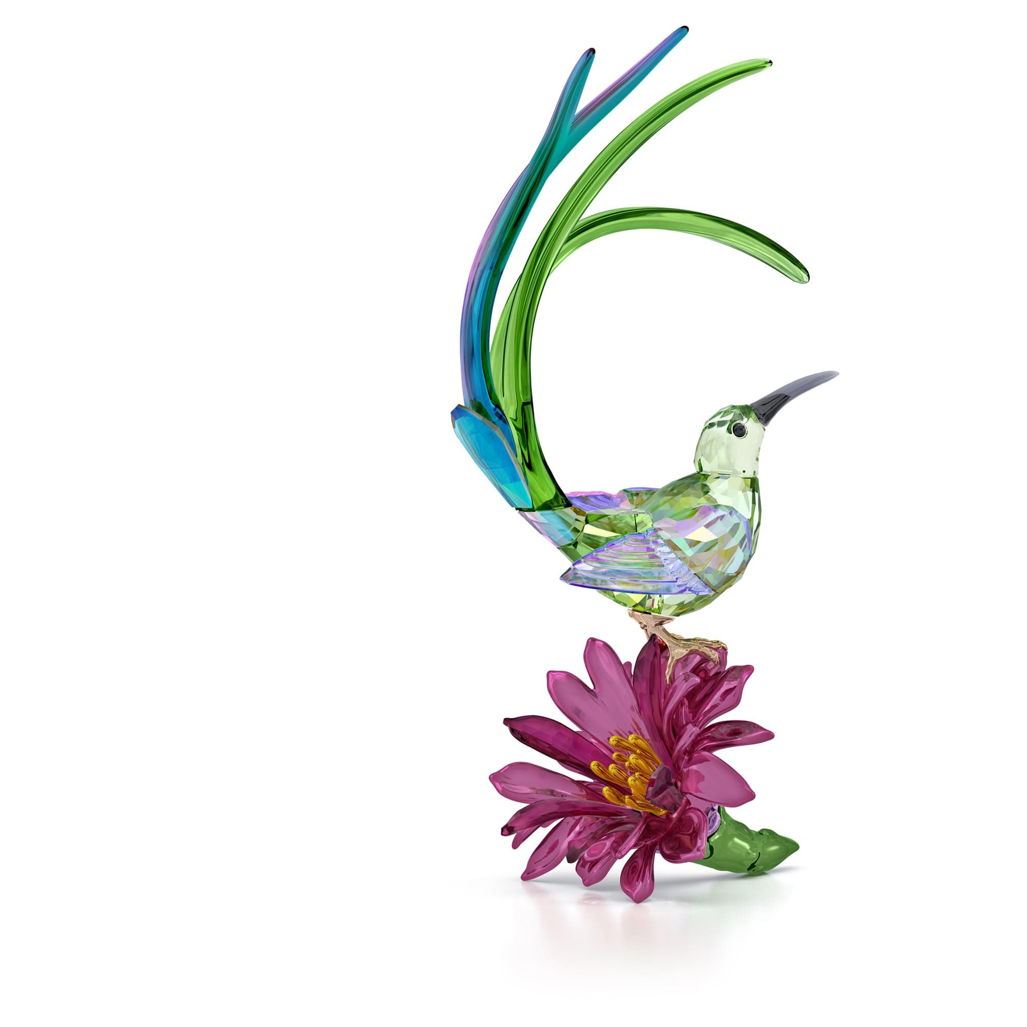 Swarovski Idyllia Sugarbird and Cactus Flower Jewelry For Women Everyday Wear Glittering Crystal Detail
| Swarovski Idy